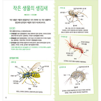 자연 관찰사전 시리즈