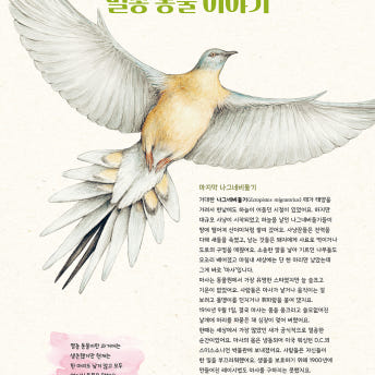 초등 동물 도감 그림책